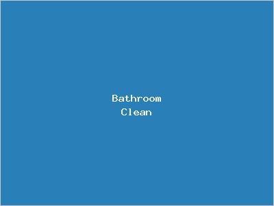 Bathroom Cleaning